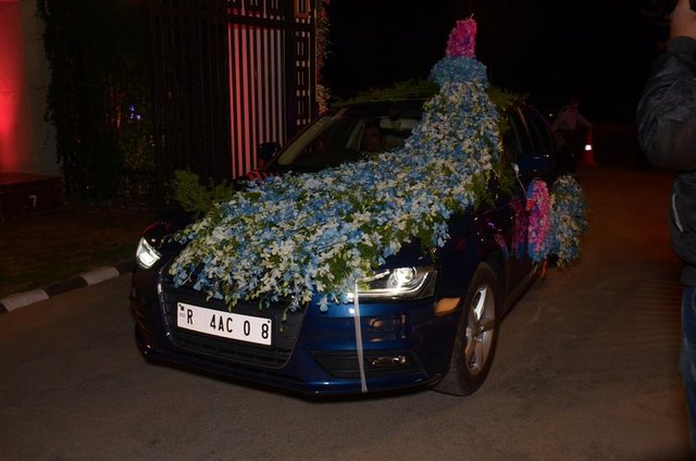 Indigo car deals decoration