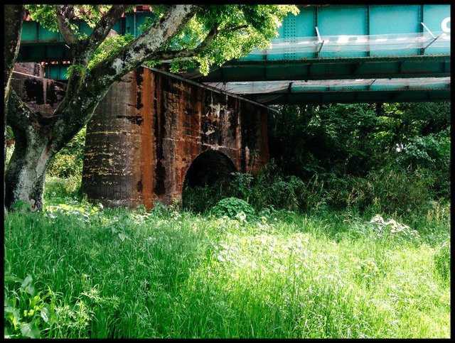 Lost in the Weeds