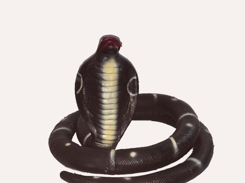 cobra-snake-toy-500x500.jpg