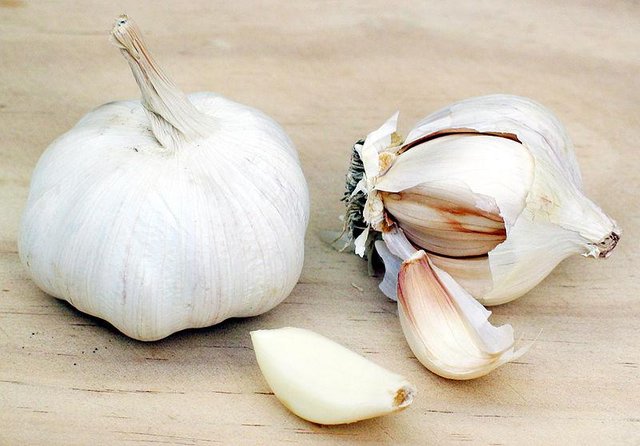 garlic.jpg