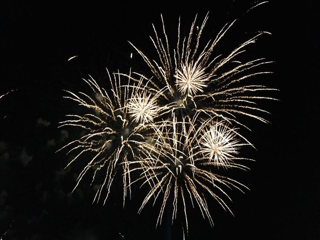 EB1FF955-96A0-4C58-AC1C-5CBF2E63DDB5.jpeg