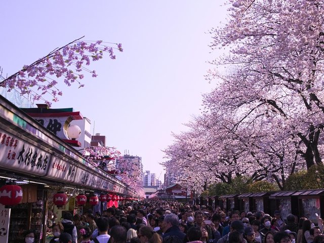 Ueno park tokyo.jpg