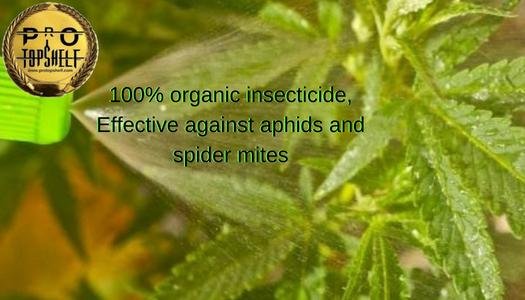 100% organic insecticide, Effective against aphids and spider mites.jpg