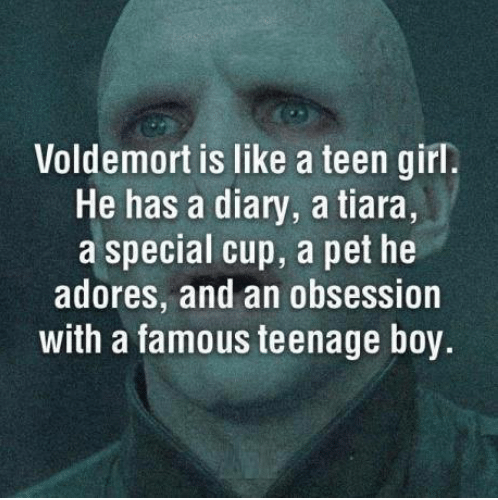 voldemort-is-like-a-teen-girl-he-has-a-diary-7946024.png