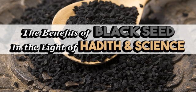 benefits-of-black-seed.png