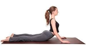 bhujangasana.jpg