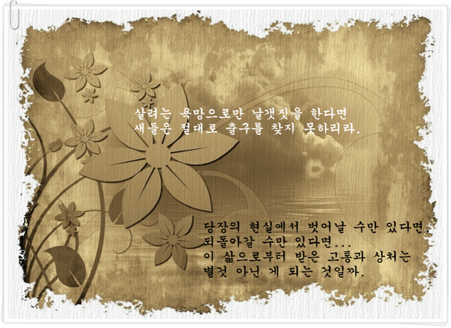 스팀잇 팔로우 베스트 문장 모음 6.png