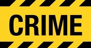 crime-bug-300x160.jpg