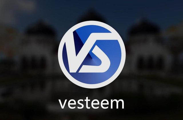 vesteemaceh.jpg