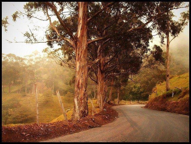 paisaje via al zumbador.jpg