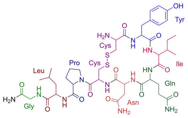 Oxytocin_color.svg.png