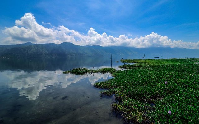 landscape.jpg