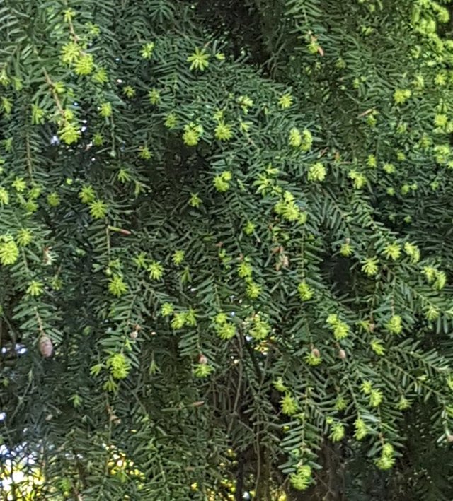 Screenshot_20180508-121046.jpg