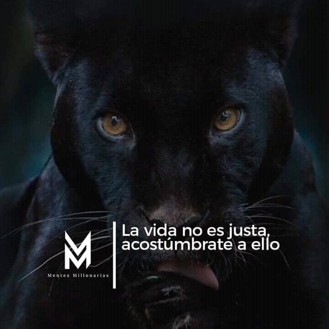 FB_IMG_15242778440358838.jpg