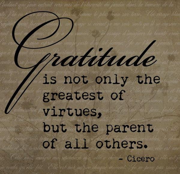 gratitude-is-not-only-the-greatest-of-virtue.jpg