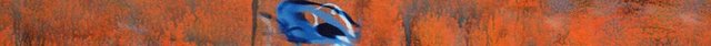 small banner 9.jpg