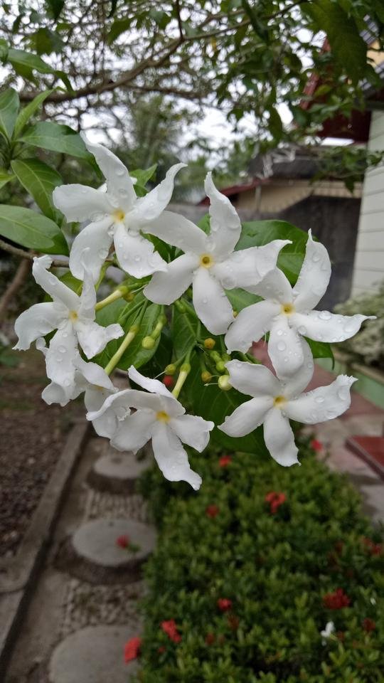 IMG20180414091404.jpg