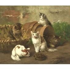 curious-kittens-228x228.jpg
