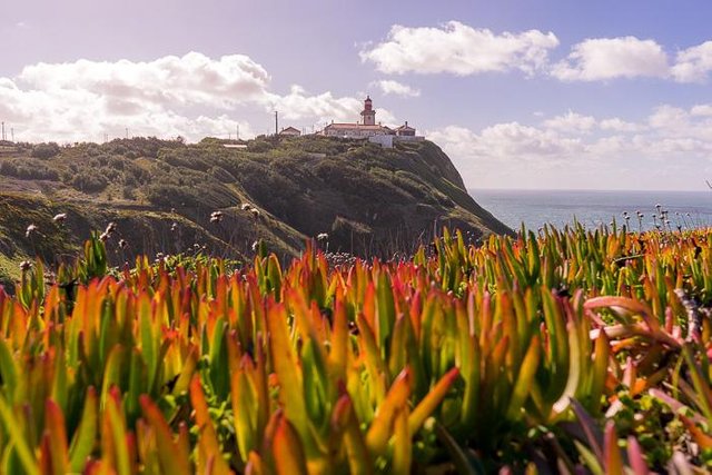 13 Cabo da Roca DSC06977.jpg