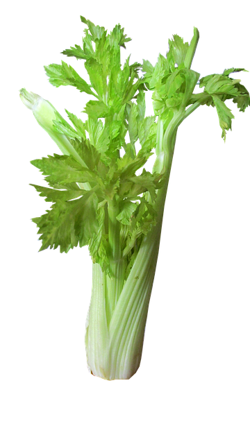 vegetable-2486251_640.png