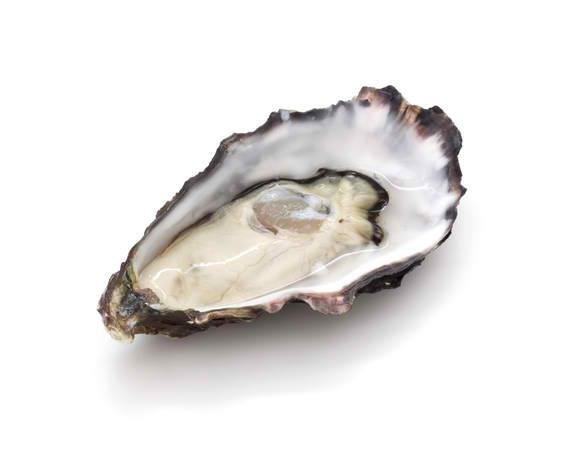 oyster-hi-res__72926.1375356631.680.453.jpg