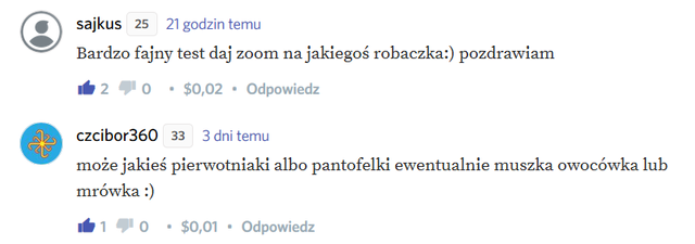 Bez tytułufew.png