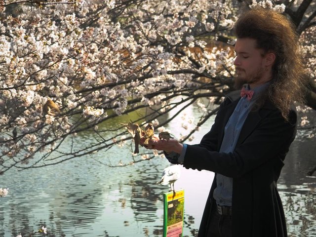 Tokyo Bird Man.jpg