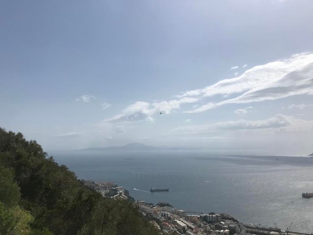 Gibraltar-the-rock-felsen-von-Gibraltar-Affen-Europa-Afrika.jpg