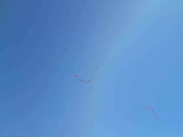 IMG-20180304-WA0038.jpg
