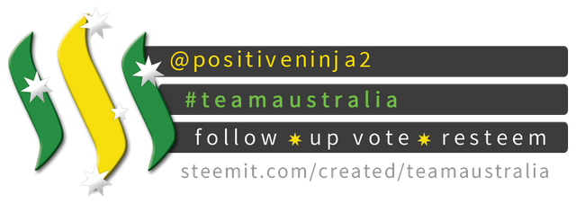 TeamAustralia Compact Banner