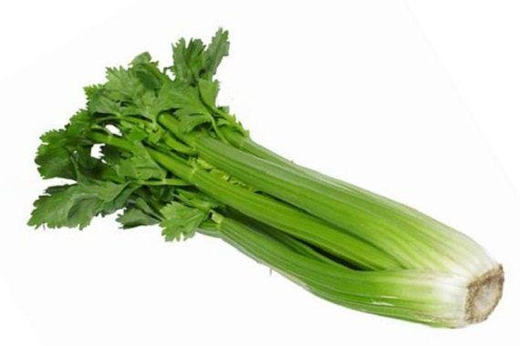 celery-command-2.jpg