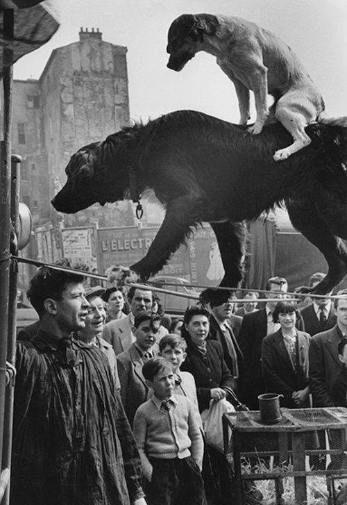 Marc-Riboud-Dog-Acrobats-Paris-1953.jpg