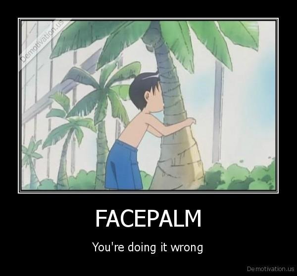 demotivation.us_FACEPALM-Youre-doing-it-wrong_130065471448.jpg