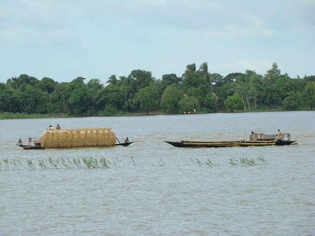 1200px-Chalan_Beel_Natore_Bangladesh_(7).JPG