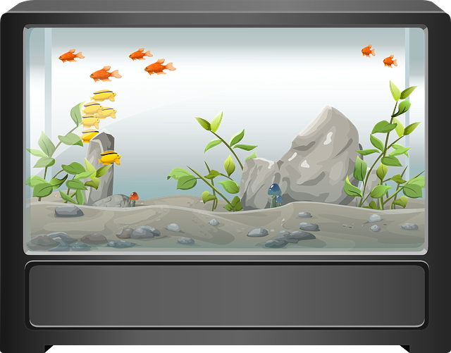 aquarium-576059_640.png