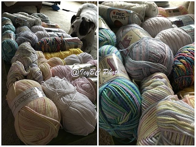 yarn shopping 1.jpg