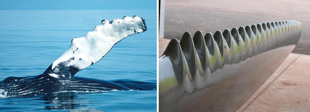 Biomicicracy_Whale-Power-Turbines-1.png