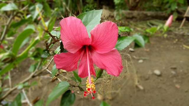 IMG_20180401_135721.jpg