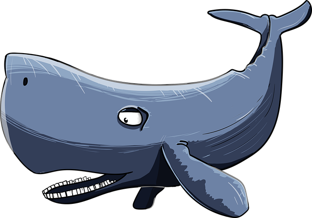 sperm-whale-3170560_640.png