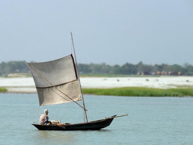 1200px-Boat_Sailing_up_Padma_River_Bangladesh.jpg