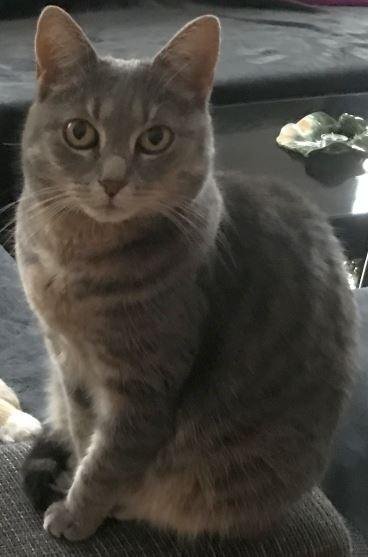 Lilie.JPG