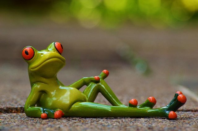frog-947770_1920.jpg