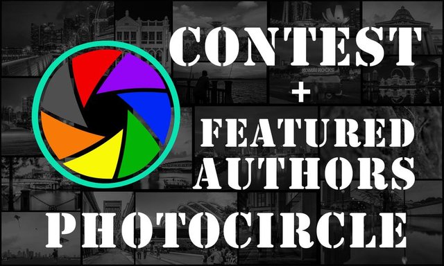 PC thumbnail - daily authors + contest.jpg