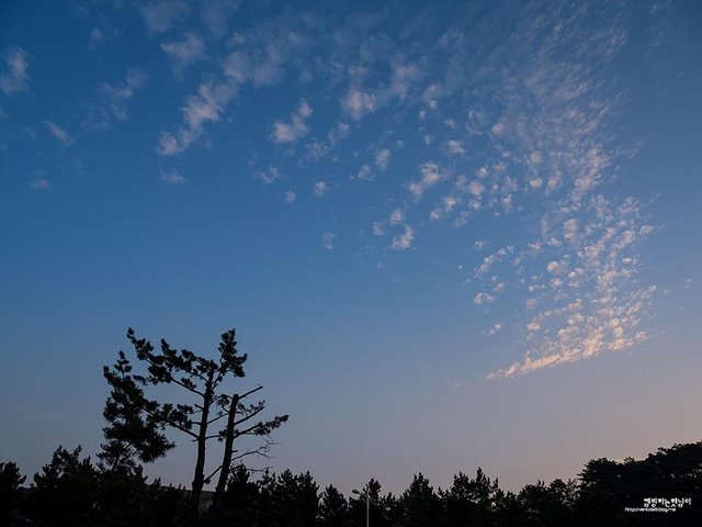 DSCF1706.jpg