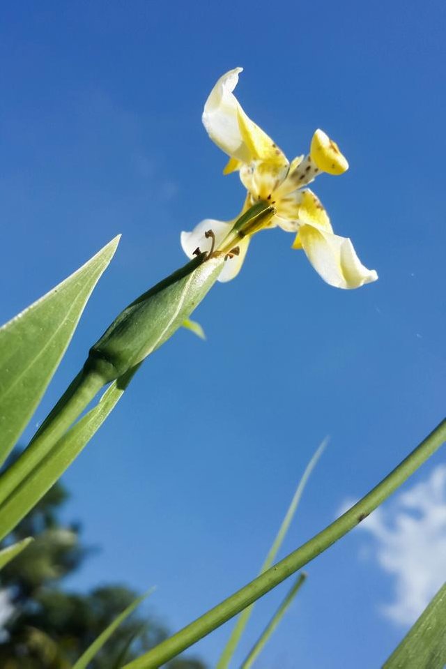 20180330_195507.jpg