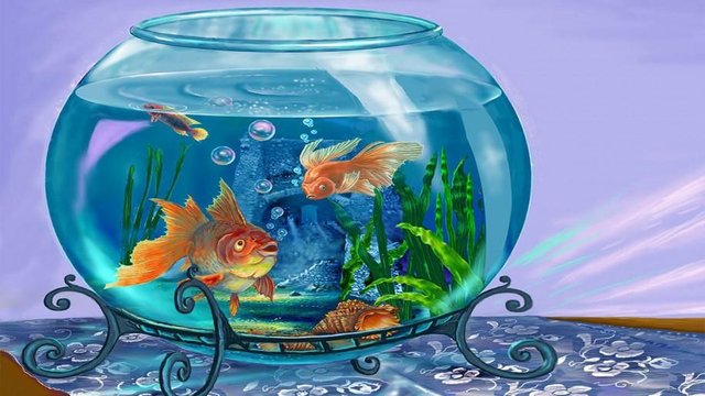 Beautiful-landscape-art-red-fish-in-aquarium-915x515.jpg