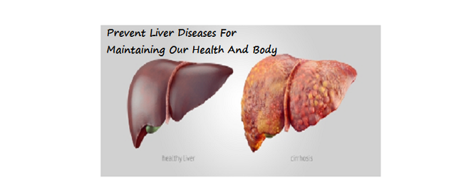 Prevent Liver Diseases For Maintaining Our Health And Body.png