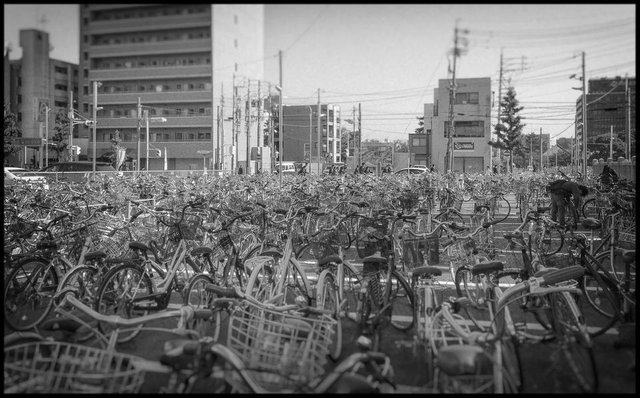 Lots of Bicycles