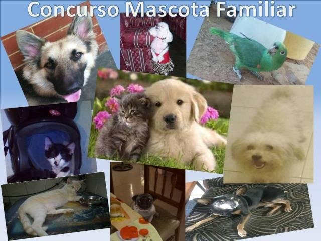 CONCURSO MASCOTA.jpg