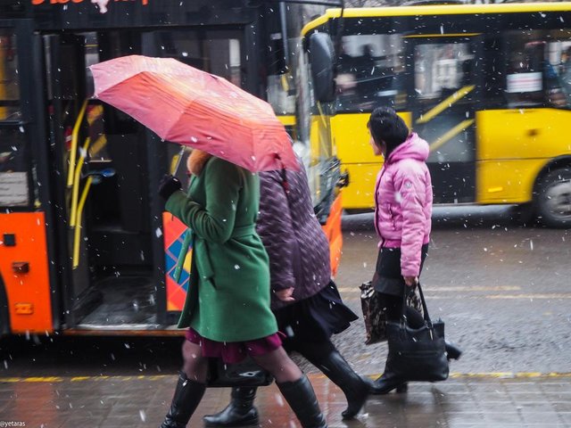 Last snow in Lviv 3.jpg